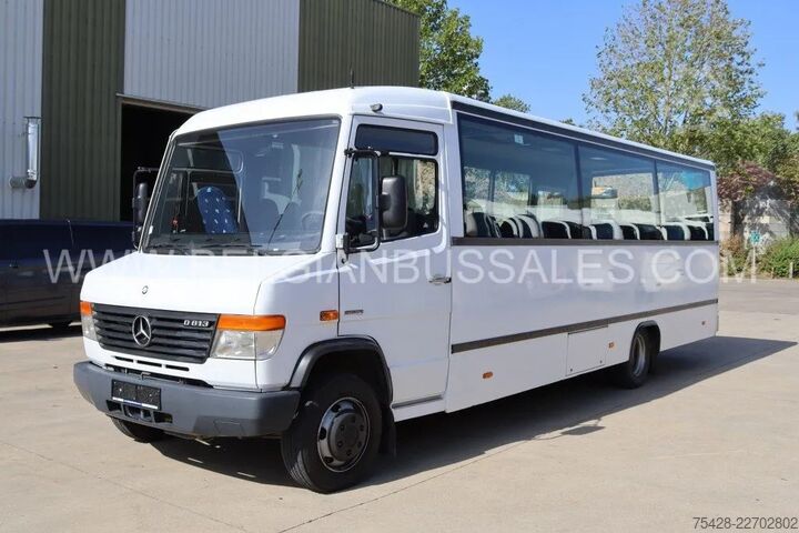 Minibus Mercedes-Benz Vario / 813D / Euro 5 / 8,5m