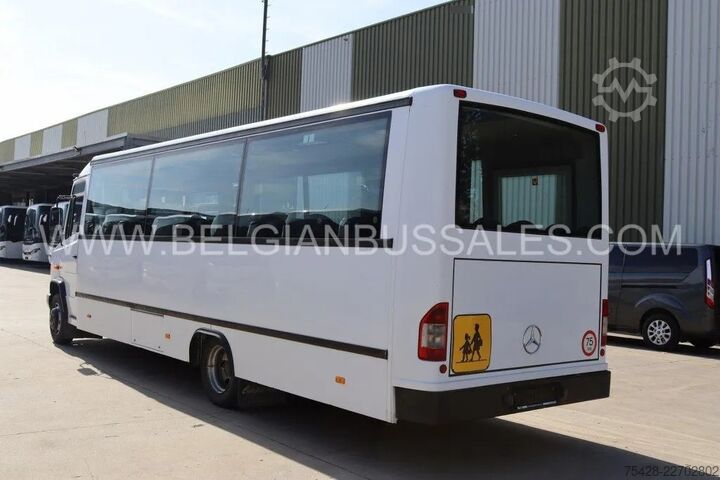 Minibus Mercedes-Benz Vario / 813D / Euro 5 / 8,5m