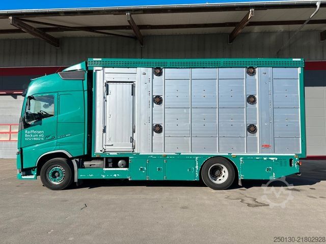 Camion per bestiame VOLVO FH 500 4x2 LL 3.Stock FINKL / Hubdach / Rampe