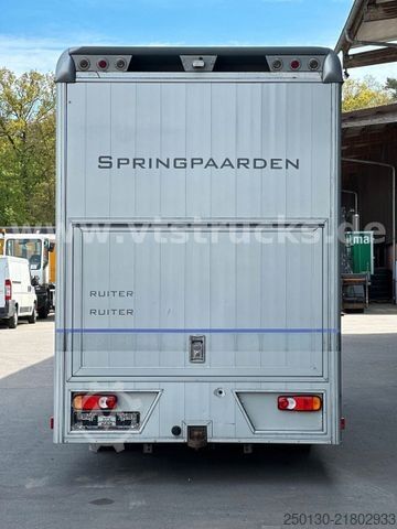 Állatszállító jármű RENAULT Master Maxi 160CDi BÖCKMANN 3 Pferde Wohnteil