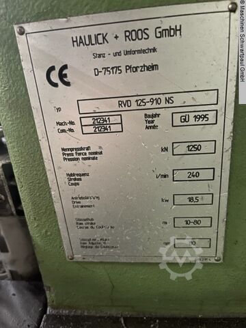 Presă automată de perforare dublă stand dublu HAULICK & ROOS RVD 125-910 NS