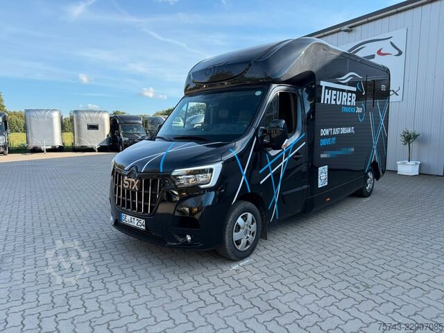 Kvægetransportør RENAULT Master STX 3 Sitzer  Haras / Hengste