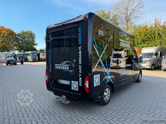 Kvægetransportør RENAULT Master STX 3 Sitzer  Haras / Hengste