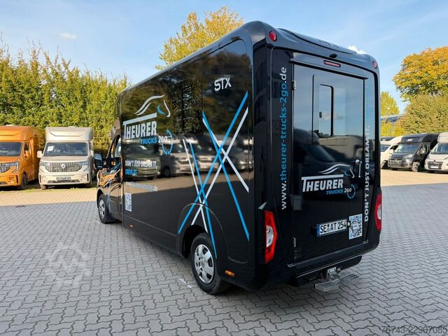 Kvægetransportør RENAULT Master STX 3 Sitzer  Haras / Hengste