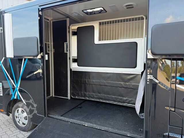 Kvægetransportør RENAULT Master STX 3 Sitzer  Haras / Hengste