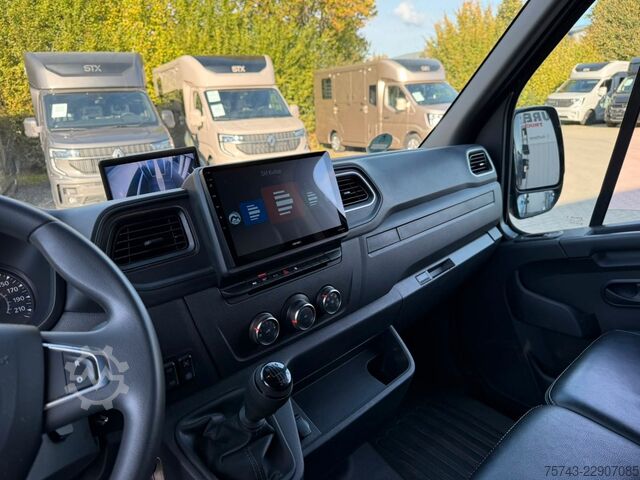 Kvægetransportør RENAULT Master STX 3 Sitzer  Haras / Hengste