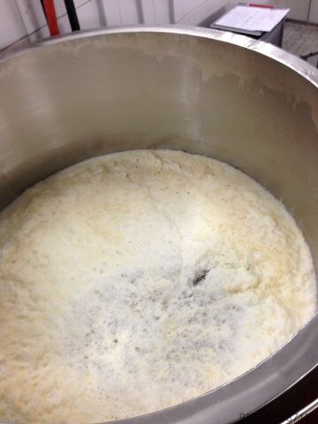 Cervejaria completa 10 HL brewhouse Pfanne: Schulz