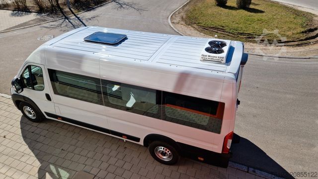 Minibus FIAT 1x Ducato 1x  Opel Movano 18 SS  in Stock