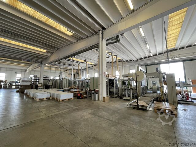 Automatische boor- en pengellijn BIESSE