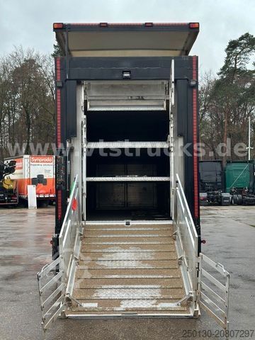 Szarvasmarha-szállító teherautó MAN TGX 26.500 3./4. Stock Menke-Janzen Komplettzug