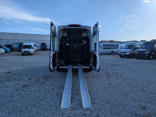 Bus FORD Transit