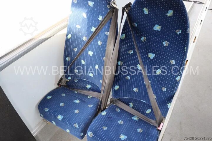 Kisbusz Mercedes VARIO