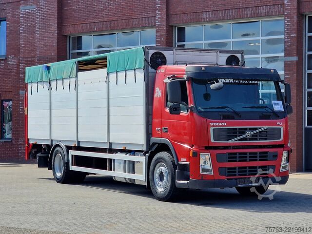 Transporte de ganado Volvo FM 300 4x2 - Livestock 1 deck - Ventilation - E...
