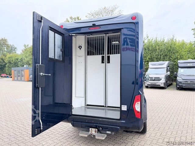 Viehtransporter FORD Transit STX  Haras 1-2 Pferde