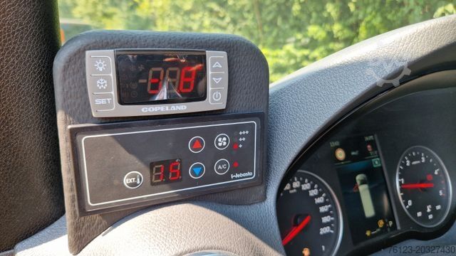 Minibus MERCEDES-BENZ 319 Sprinter VIP Shuttle 9 Sitzer Panoramadach