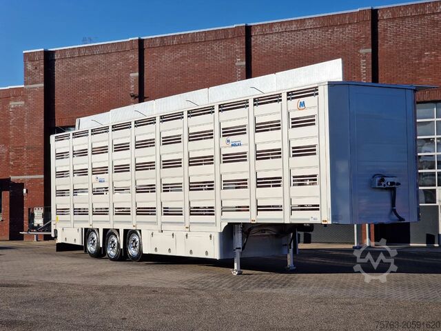 Sığır taşımacılığı Overige Molas 5 deck Livestock trailer - Water & Ventil...