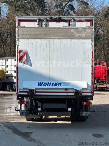 Koelwagen DAF LF 290 FA 4x2 BL  TKing Kühlkoffer BÄR Klima