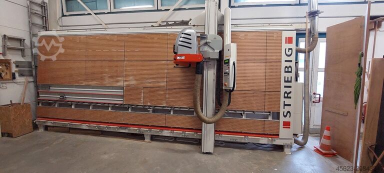 Plattensäge vertikal Striebig Evolution 6224