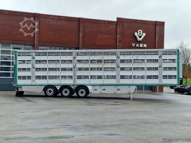 Szarvasmarha-szállítás Pezzaioli 4 deck - Water & Ventilation - Lifting floors -...