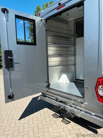 Veetransporter MERCEDES-BENZ STX Sprinter  GG 4,100KG  Haras Hengste