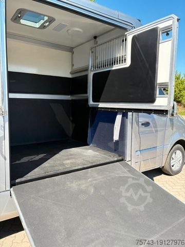 Veetransporter MERCEDES-BENZ STX Sprinter  GG 4,100KG  Haras Hengste
